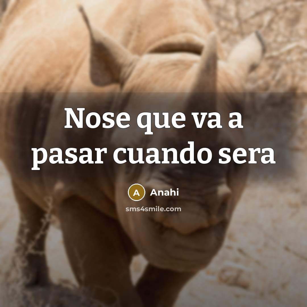 “Nose que va a pasar cuando sera” quote by Anahi