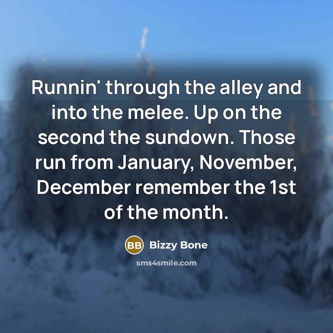 “Runnin' through the alley and into the melee. Up on the second the sundown. Those run from January, November, December remember the 1st of the month.” quote by Bizzy Bone