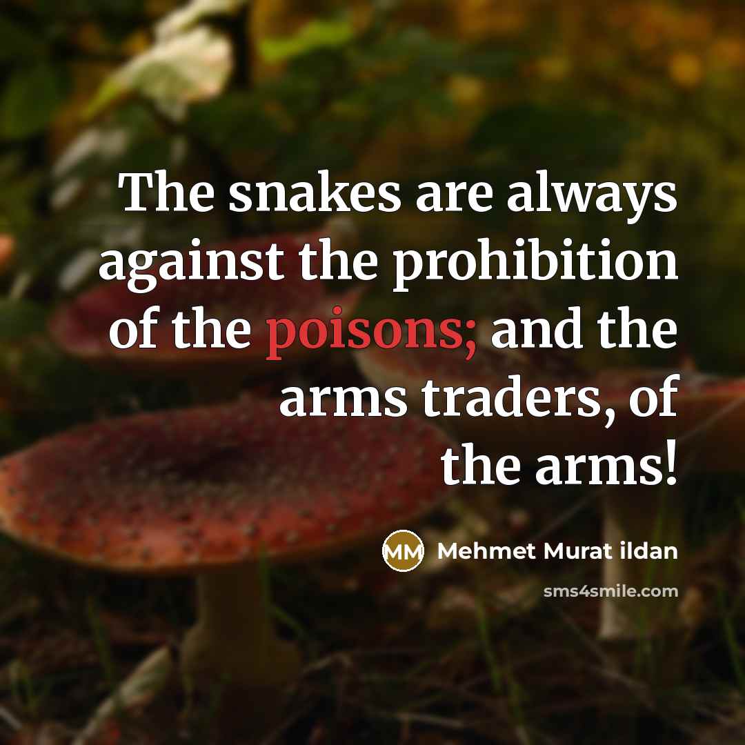 “The snakes are always against the prohibition of the poisons; and the arms traders, of the arms!” quote by Mehmet Murat Ildan