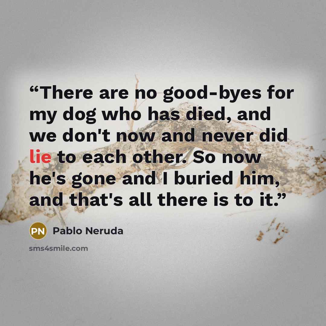 “There are no good-byes for my dog who has died, and we don't now and never did lie to each other. So now he's gone and I buried him, and that's all there is to it.” quote by Pablo Neruda