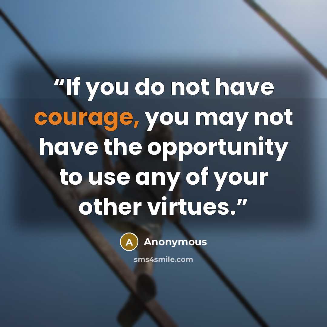 “If you do not have courage, you may not have the opportunity to use any of your other virtues.” quote by Anonymous