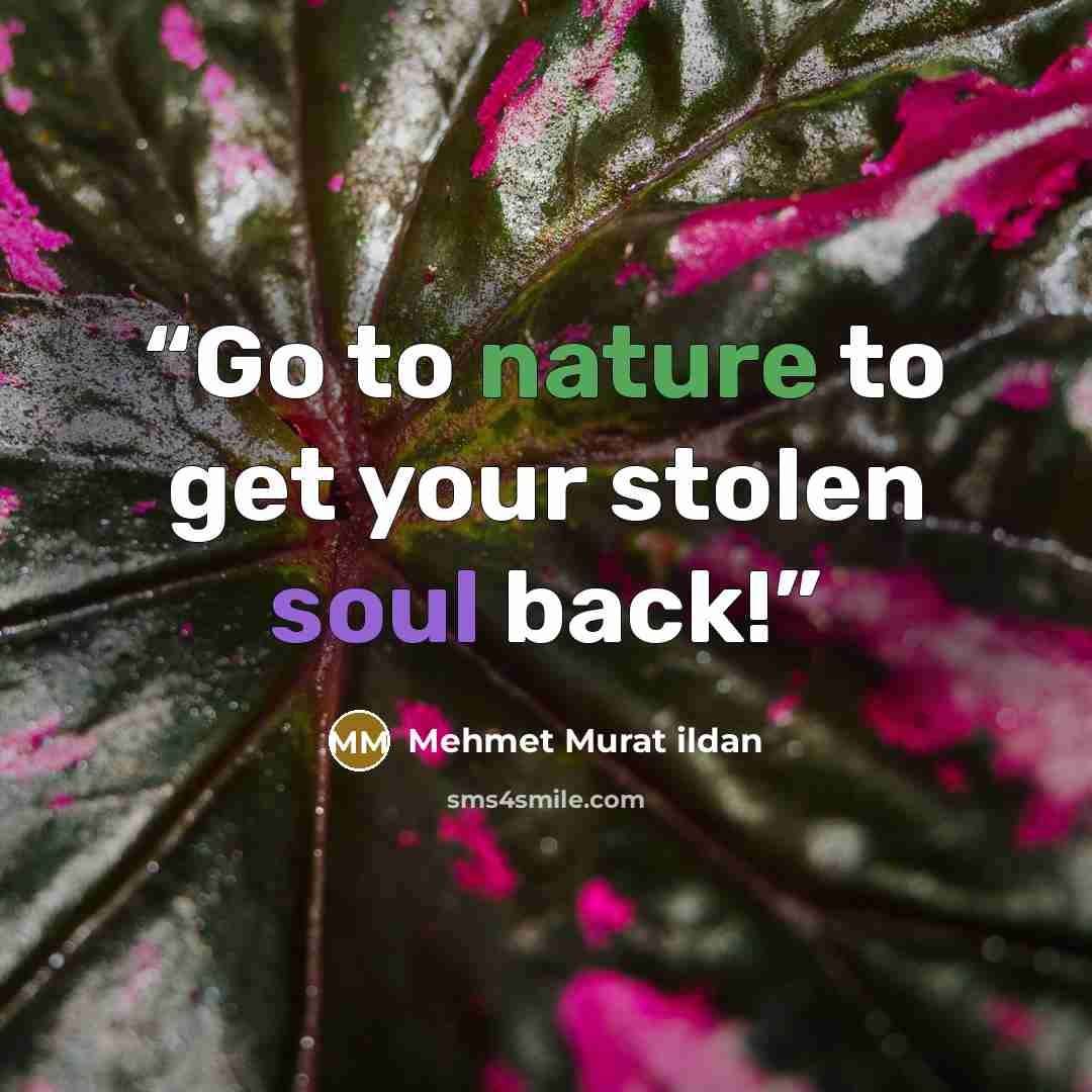 “Go to nature to get your stolen soul back!” quote by Mehmet Murat ildan