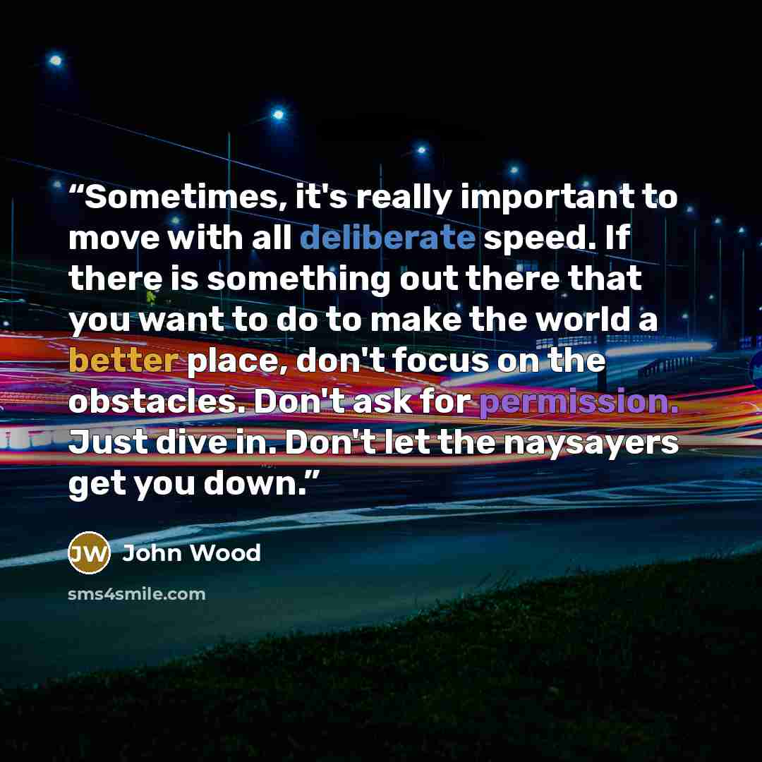 “Sometimes, it's really important to move with all deliberate speed. If there is something out there that you want to do to make the world a better place, don't focus on the obstacles. Don't ask for permission. Just dive in. Don't let the naysayers get you down.” quote by John Wood