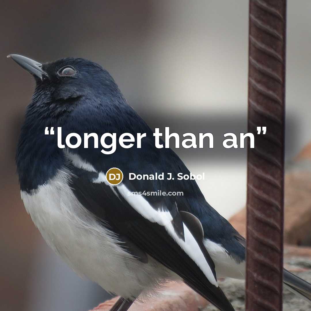 “longer than an” quote by Donald J. Sobol