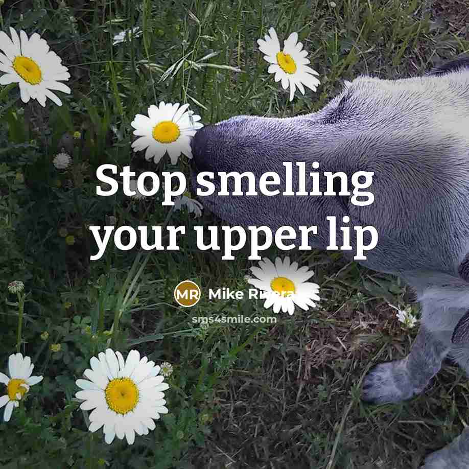 “Stop smelling your upper lip” quote by Mike Rivera