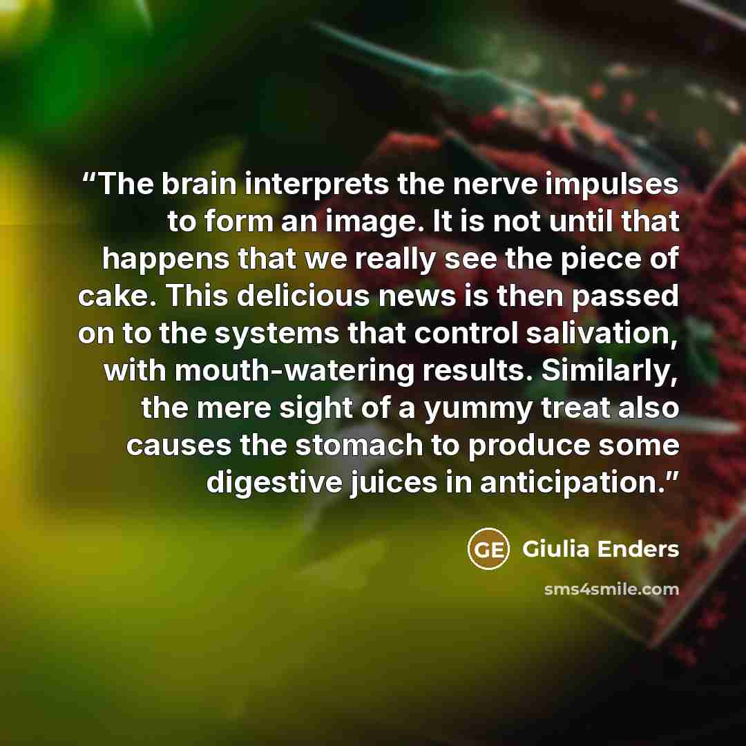 “The brain interprets the nerve impulses to form an image. It is not until that happens that we really see the piece of cake. This delicious news is then passed on to the systems that control salivation, with mouth-watering results. Similarly, the mere sight of a yummy treat also causes the stomach…” quote by Giulia Enders