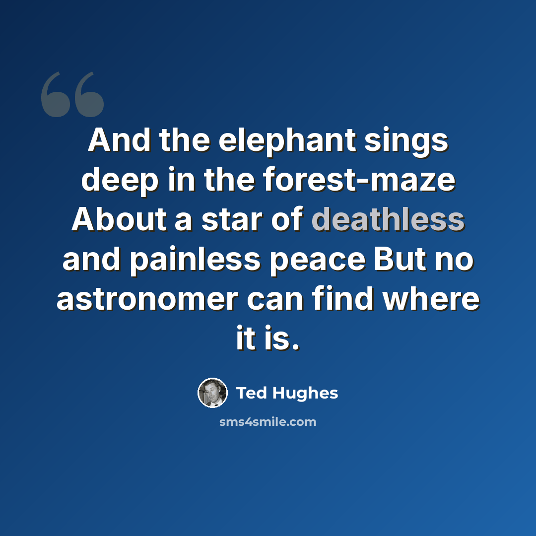 “And the elephant sings deep in the forest-maze About a star of deathless and painless peace But no astronomer can find where it is.” quote by Ted Hughes