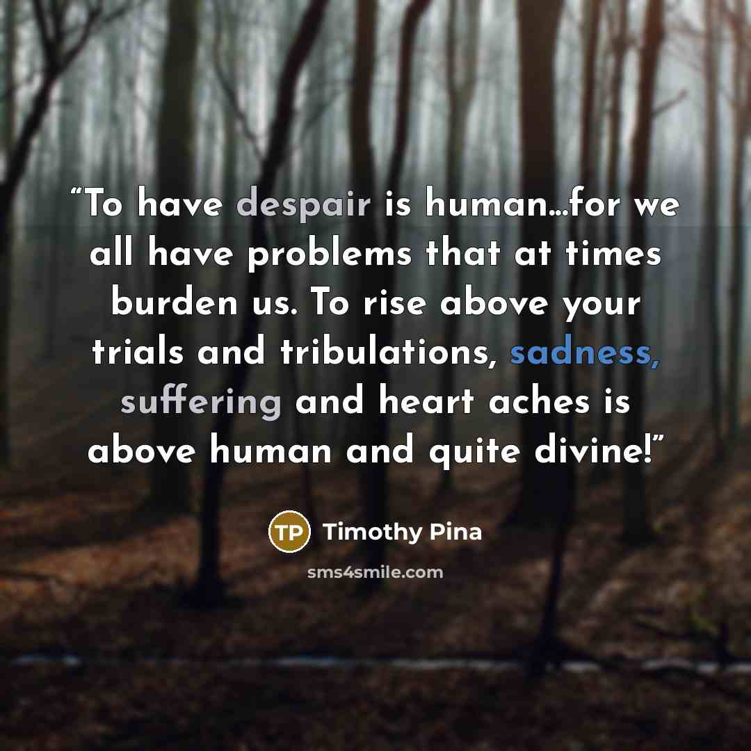 “To have despair is human...for we all have problems that at times burden us. To rise above your trials and tribulations, sadness, suffering and heart aches is above human and quite divine!” quote by Timothy Pina