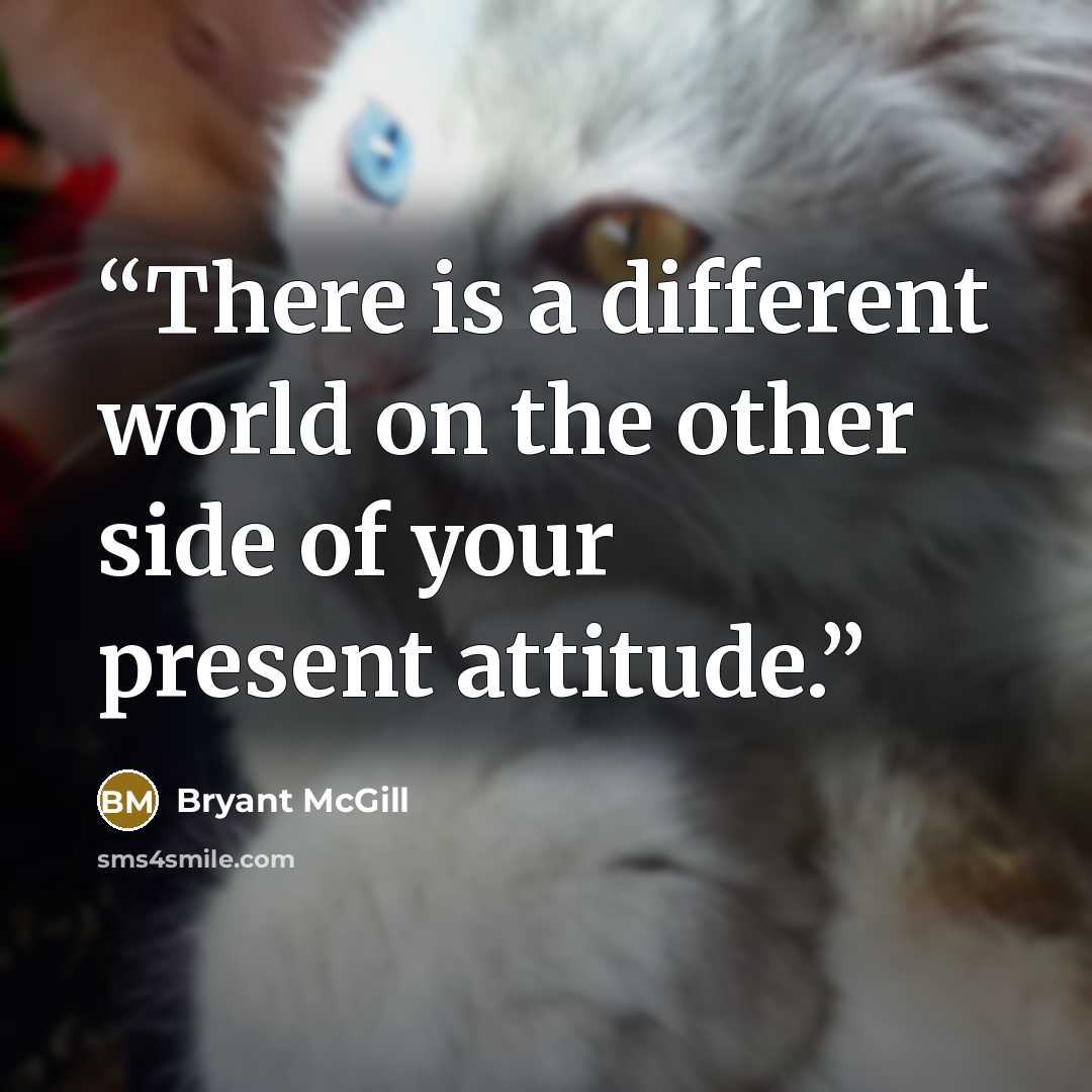 “There is a different world on the other side of your present attitude.” quote by Bryant McGill