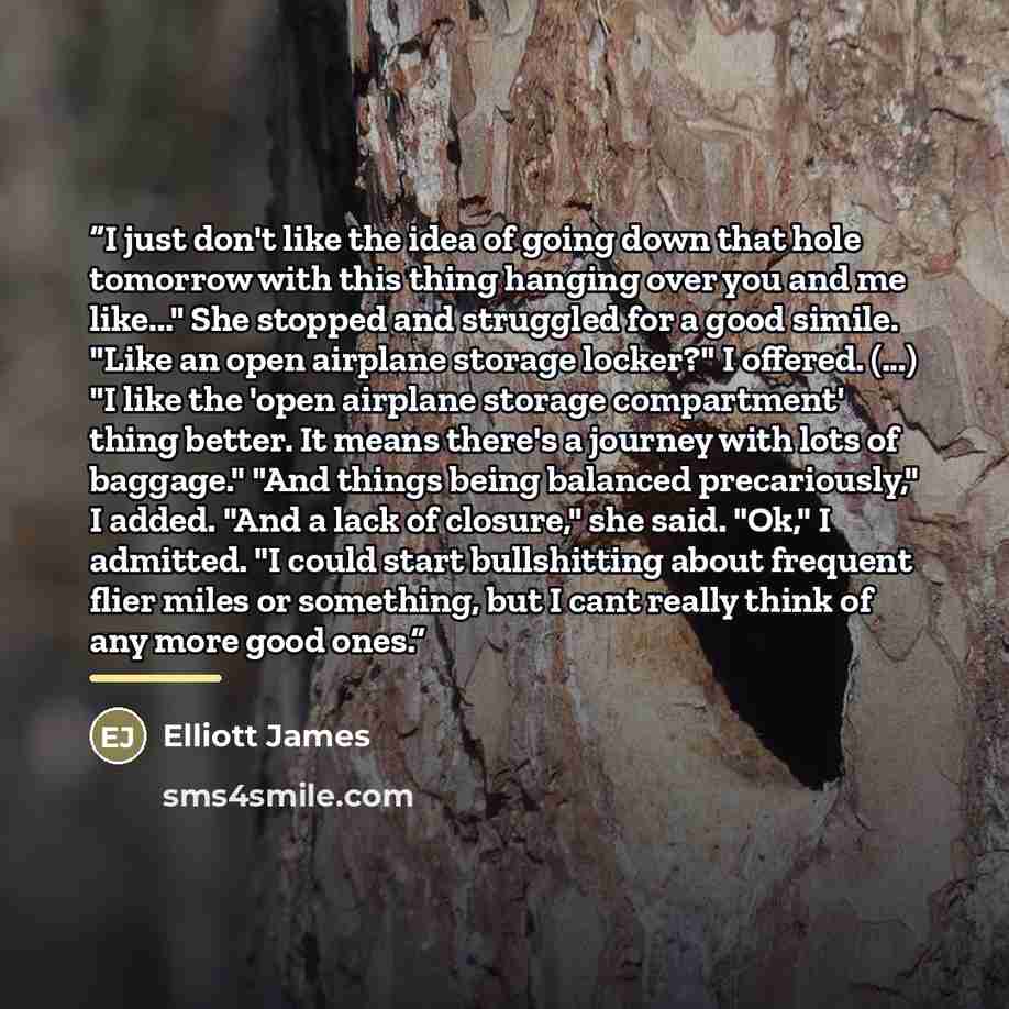 “I just don't like the idea of going down that hole tomorrow with this thing hanging over you and me like..." She stopped and struggled for a good simile. "Like an open airplane storage locker?" I offered. (...) "I like the 'open airplane storage compartment' thing better. It means there's a…” quote by Elliott James