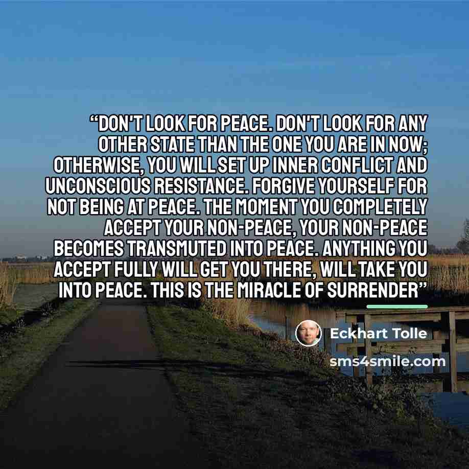 “Don't look for peace. Don't look for any other state than the one you are in now; otherwise, you will set up inner conflict and unconscious resistance. Forgive yourself for not being at peace. The moment you completely accept your non-peace, your non-peace becomes transmuted into peace. Anything…” quote by Eckhart Tolle