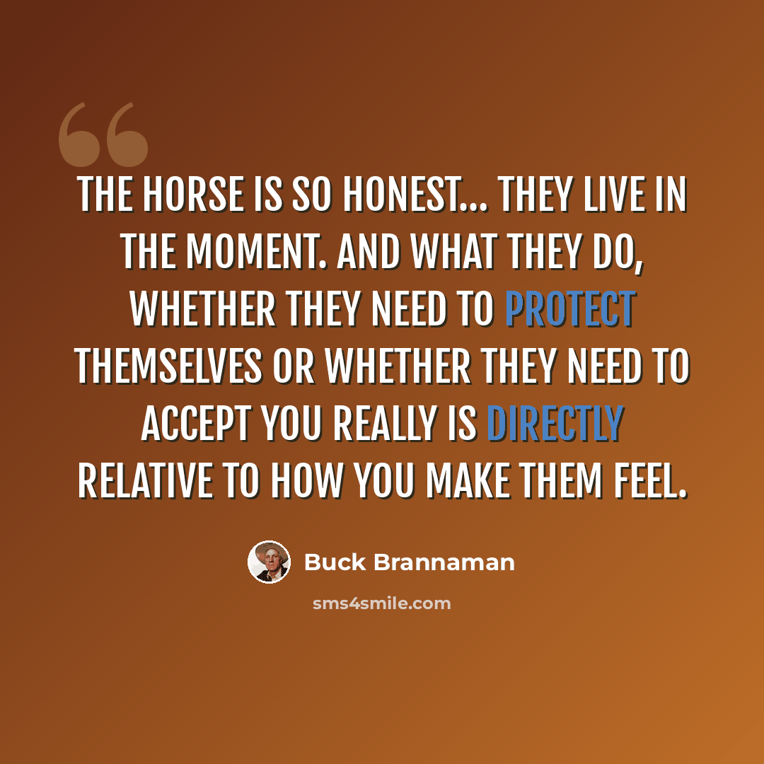 “The horse is so honest… they live in the moment. And what they do, whether they need to protect themselves or whether they need to accept you really is directly relative to how you make them feel.” quote by Buck Brannaman
