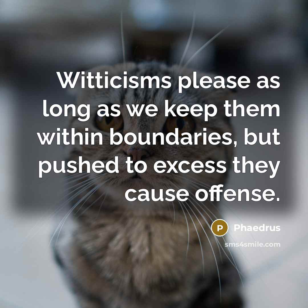 “Witticisms please as long as we keep them within boundaries, but pushed to excess they cause offense.” quote by Phaedrus