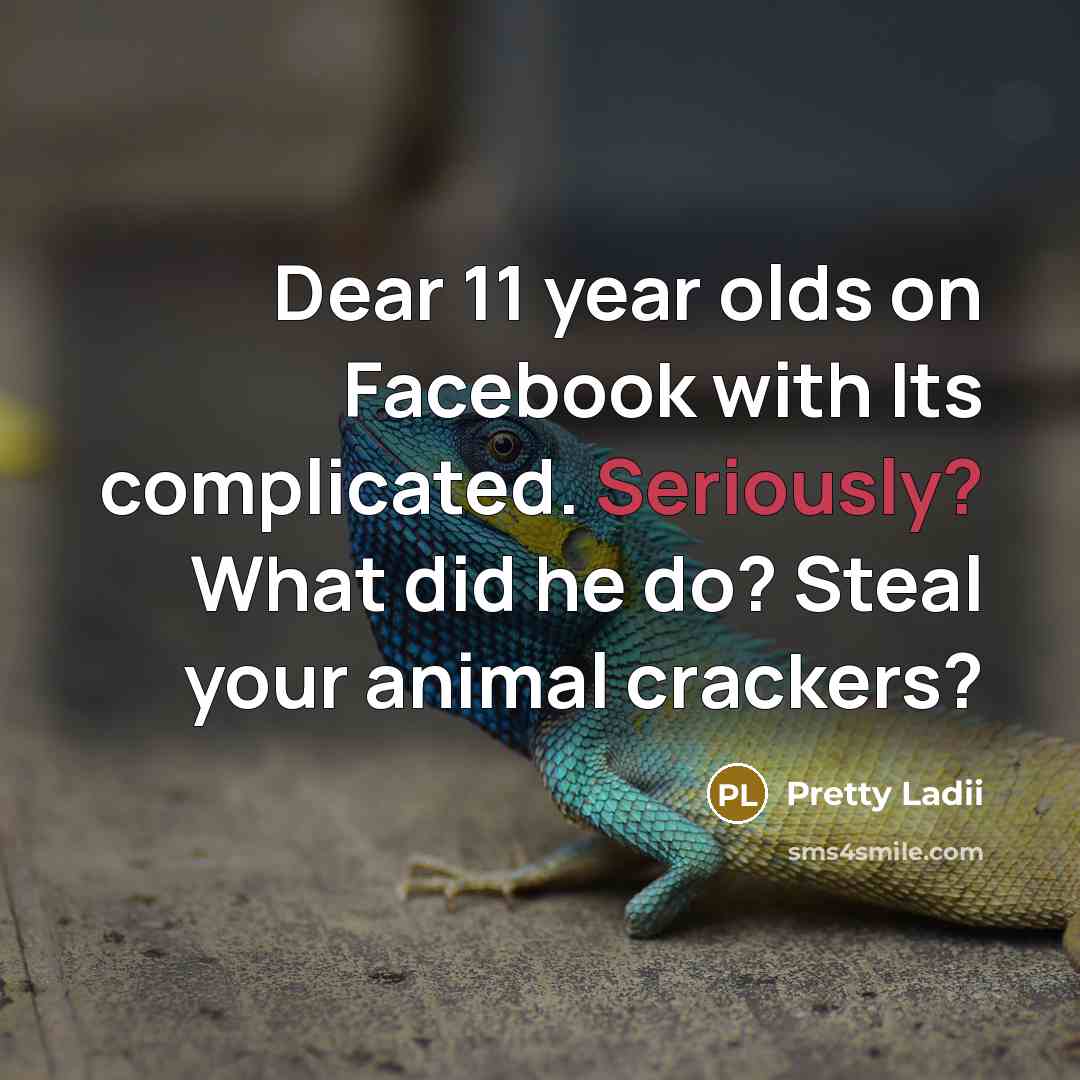 “Dear 11 year olds on Facebook with Its complicated. Seriously? What did he do? Steal your animal crackers?” quote by Pretty Ladii