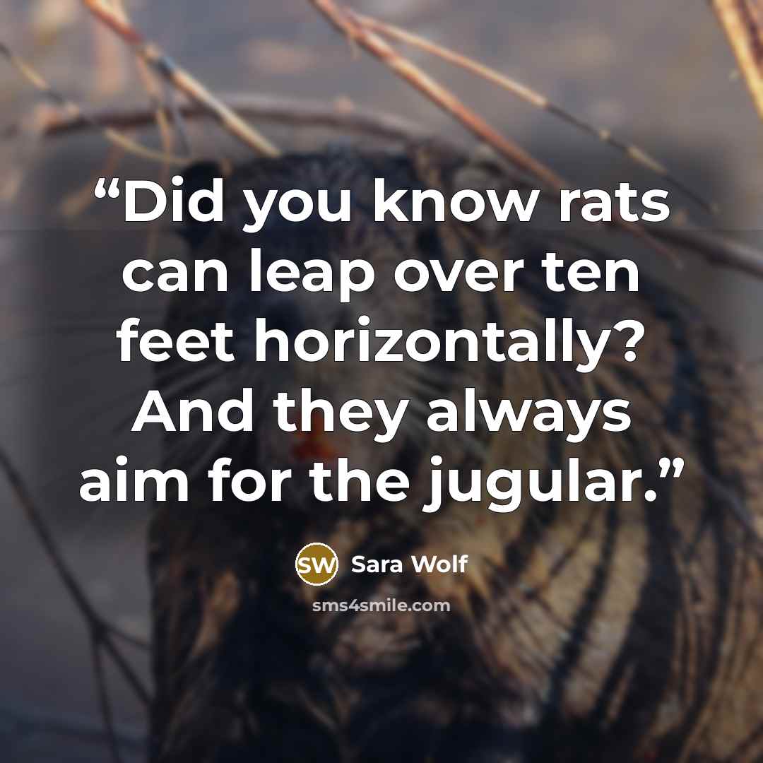 “Did you know rats can leap over ten feet horizontally? And they always aim for the jugular.” quote by Sara Wolf