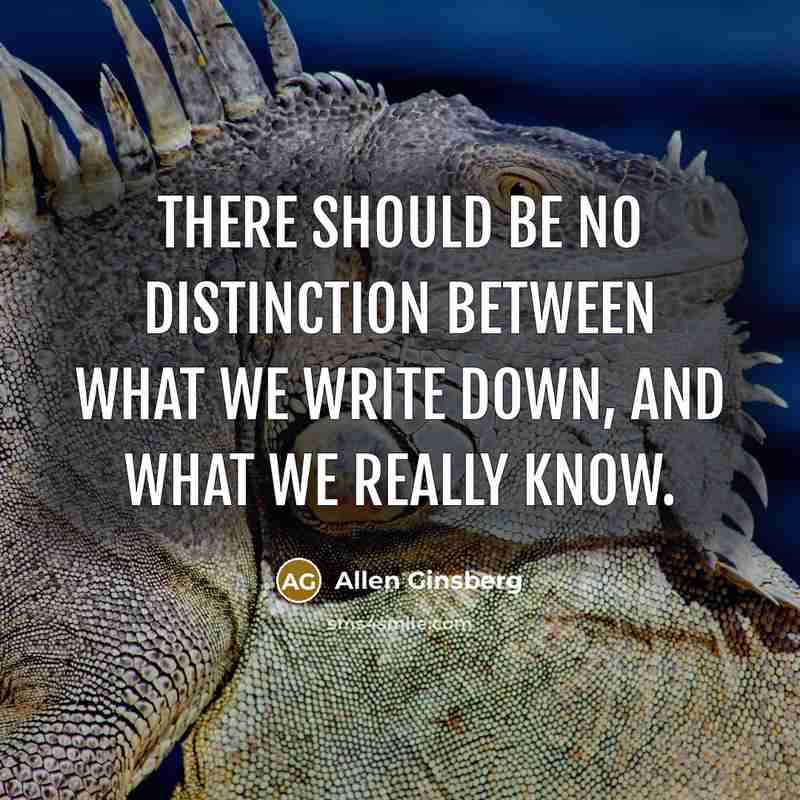 “There should be no distinction between what we write down, and what we really know.” quote by Allen Ginsberg