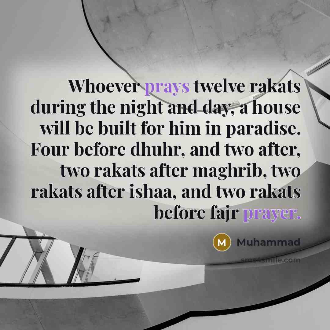 “Whoever prays twelve rakats during the night and day, a house will be built for him in paradise. Four before dhuhr, and two after, two rakats after maghrib, two rakats after ishaa, and two rakats before fajr prayer.” quote by Muhammad