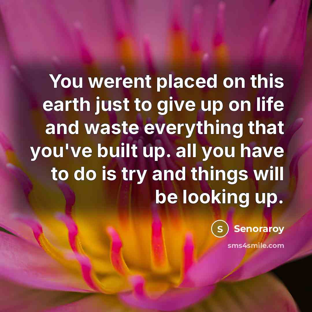 “You werent placed on this earth just to give up on life and waste everything that you've built up. all you have to do is try and things will be looking up.” quote by Senoraroy