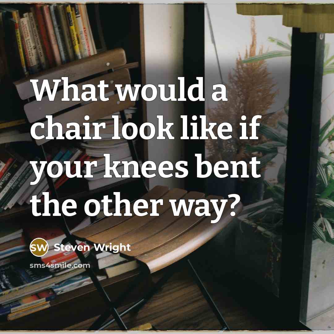 “What would a chair look like if your knees bent the other way?” quote by Steven Wright