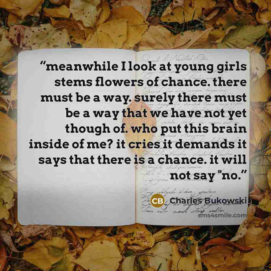 “meanwhile I look at young girls stems flowers of chance. there must be a way. surely there must be a way that we have not yet though of. who put this brain inside of me? it cries it demands it says that there is a chance. it will not say "no.” quote by Charles Bukowski