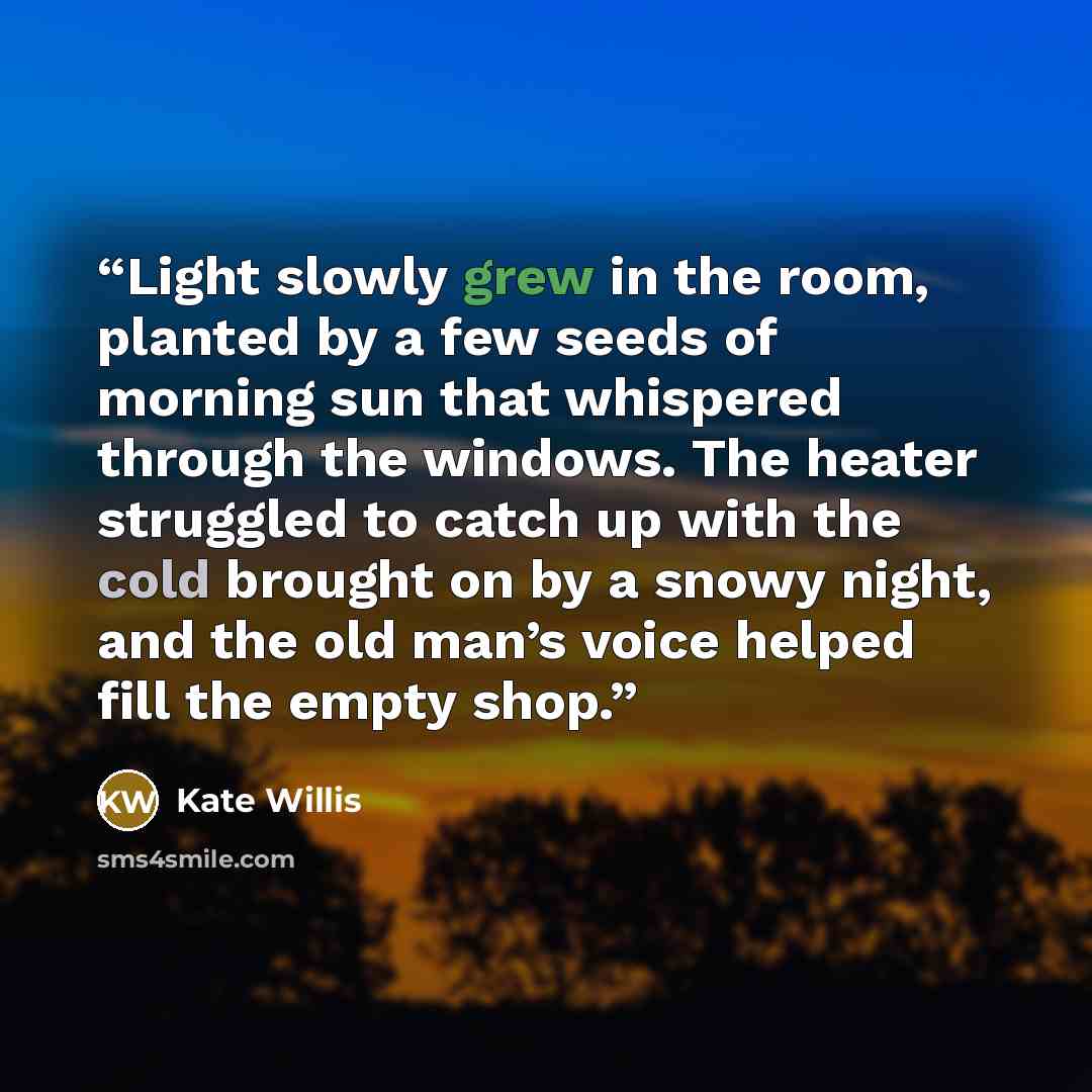 “Light slowly grew in the room, planted by a few seeds of morning sun that whispered through the windows. The heater struggled to catch up with the cold brought on by a snowy night, and the old man’s voice helped fill the empty shop.” quote by Kate Willis