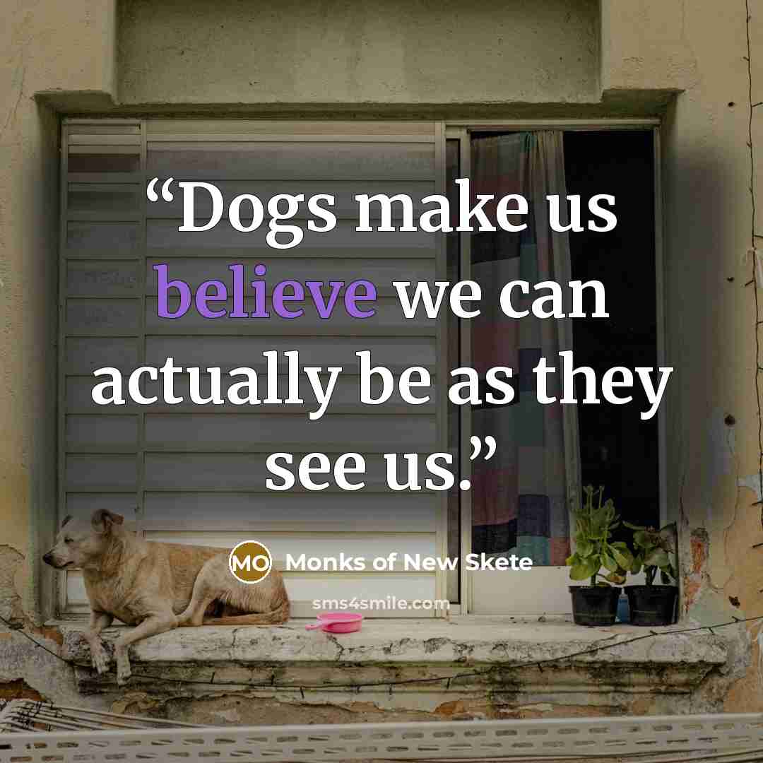 “Dogs make us believe we can actually be as they see us.” quote by Monks Of New Skete