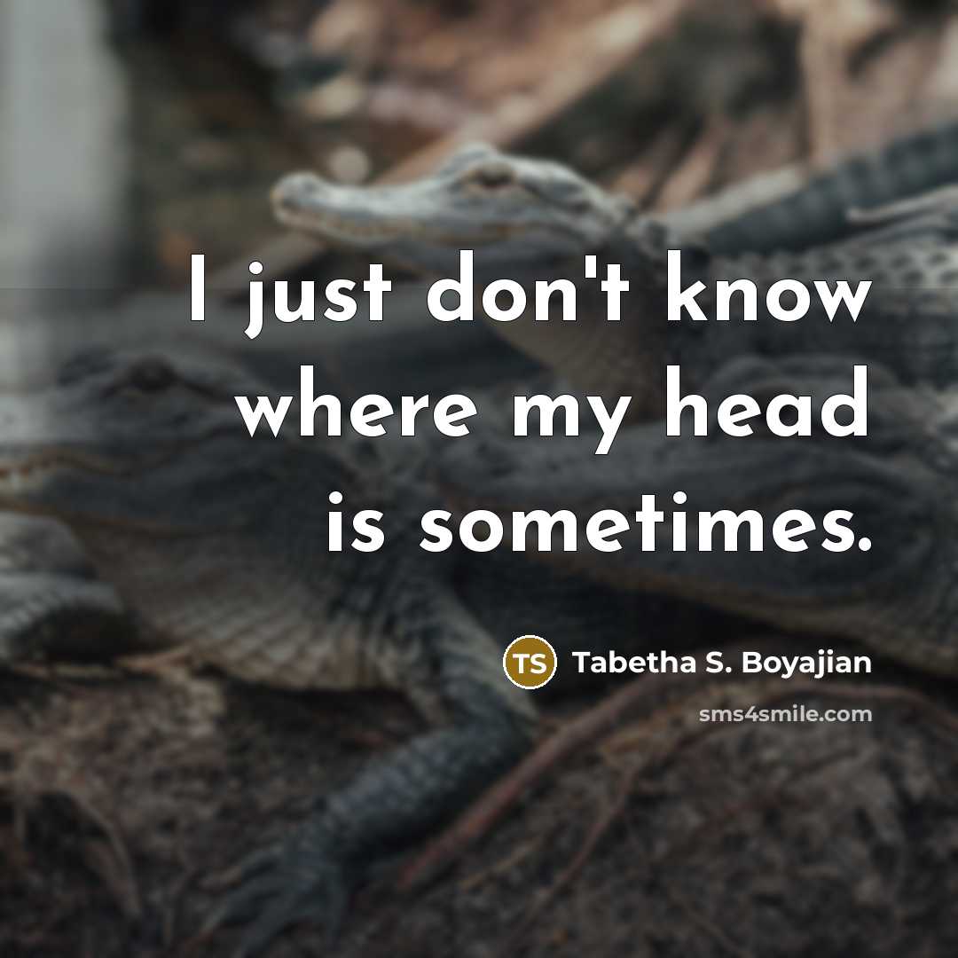“I just don't know where my head is sometimes.” quote by Tabetha S. Boyajian