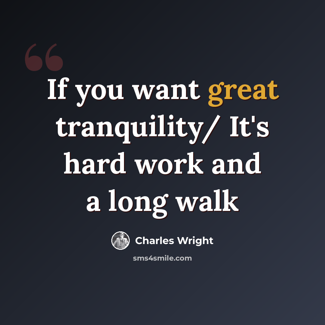 “If you want great tranquility/ It's hard work and a long walk” quote by Charles Wright
