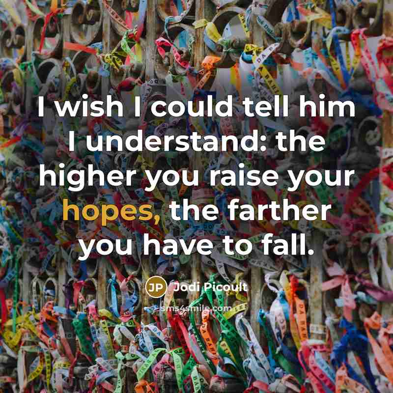 “I wish I could tell him I understand: the higher you raise your hopes, the farther you have to fall.” quote by Jodi Picoult