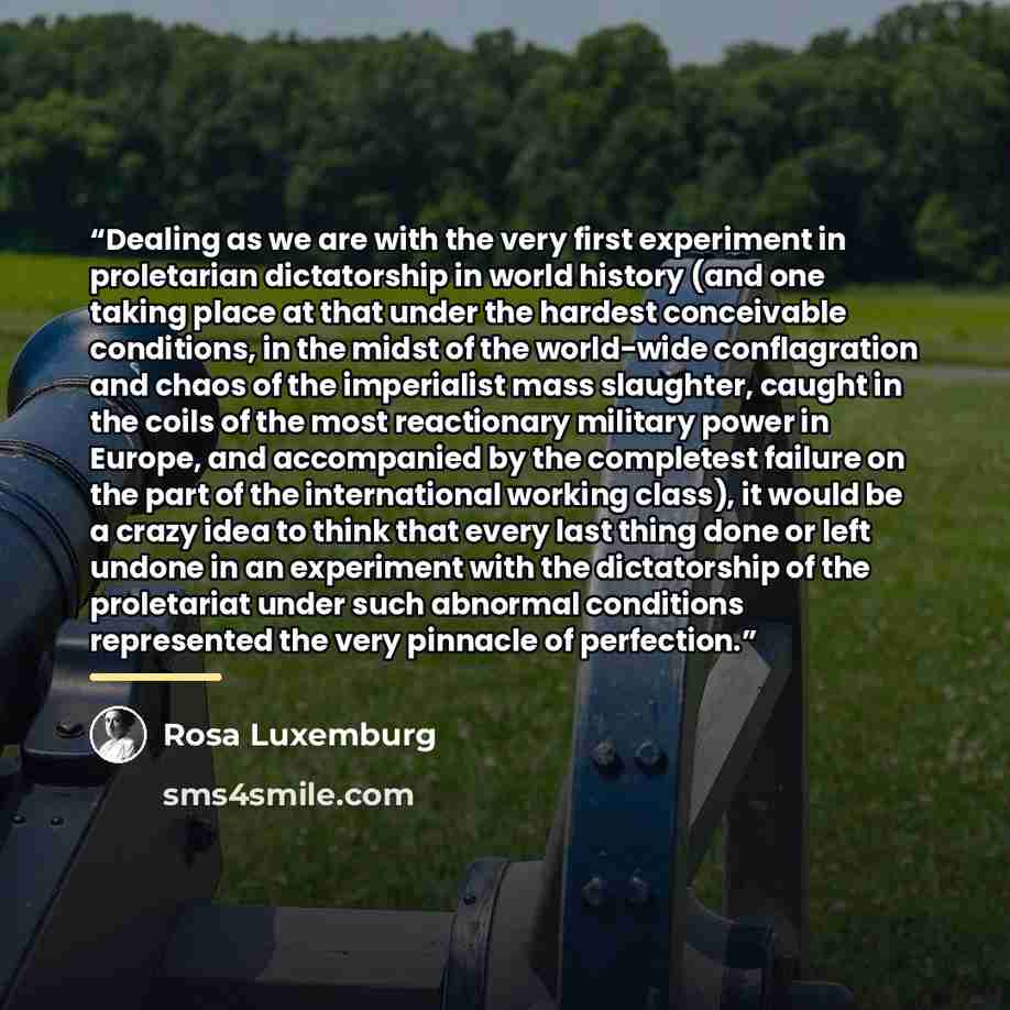 “Dealing as we are with the very first experiment in proletarian dictatorship in world history (and one taking place at that under the hardest conceivable conditions, in the midst of the world-wide conflagration and chaos of the imperialist mass slaughter, caught in the coils of the most…” quote by Rosa Luxemburg