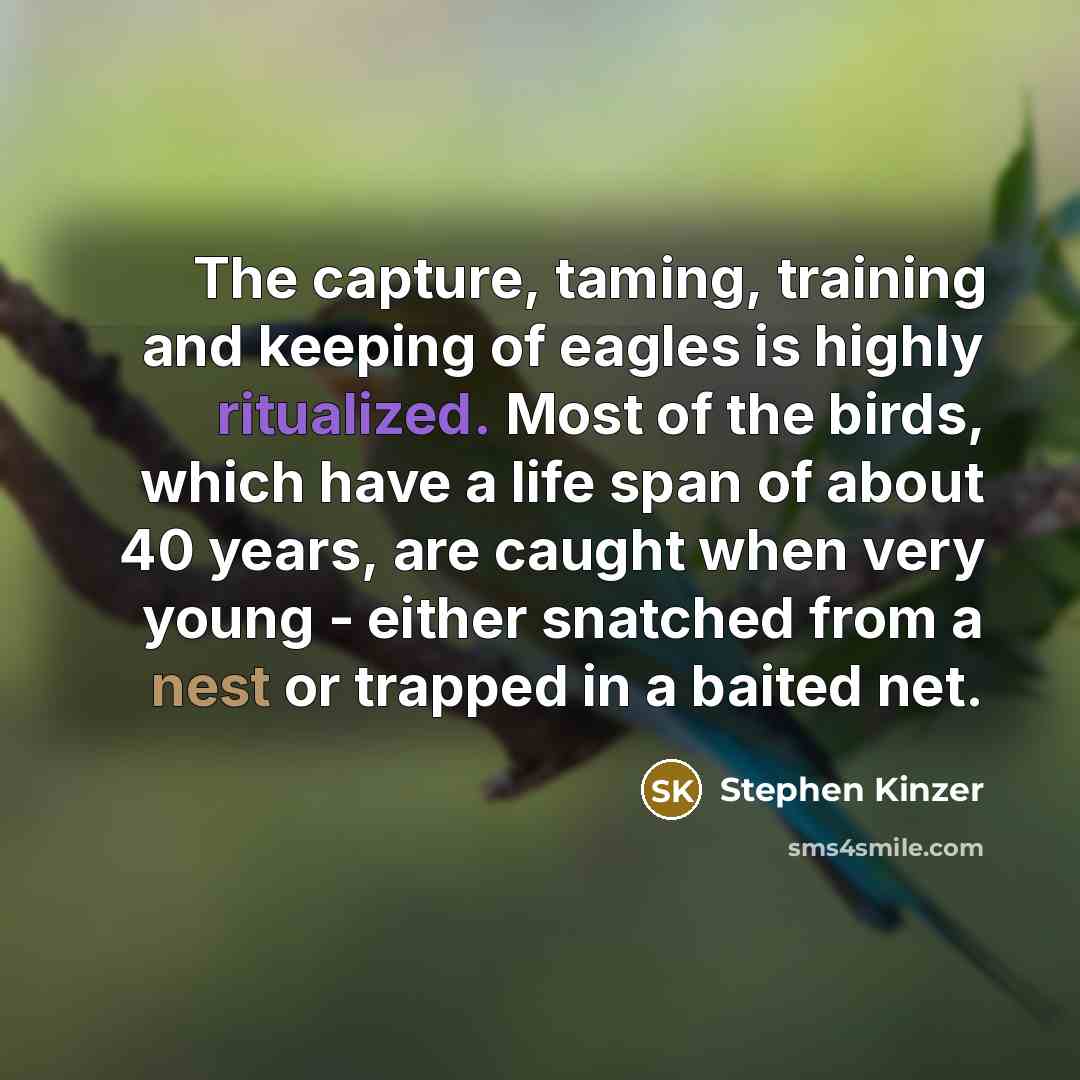 “The capture, taming, training and keeping of eagles is highly ritualized. Most of the birds, which have a life span of about 40 years, are caught when very young - either snatched from a nest or trapped in a baited net.” quote by Stephen Kinzer