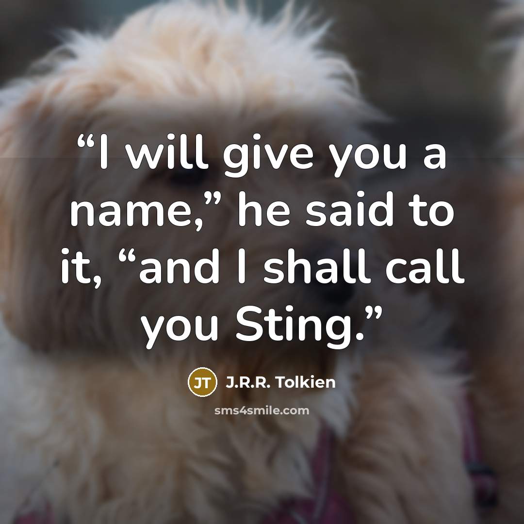 “I will give you a name,” he said to it, “and I shall call you Sting.” quote by J.R.R. Tolkien