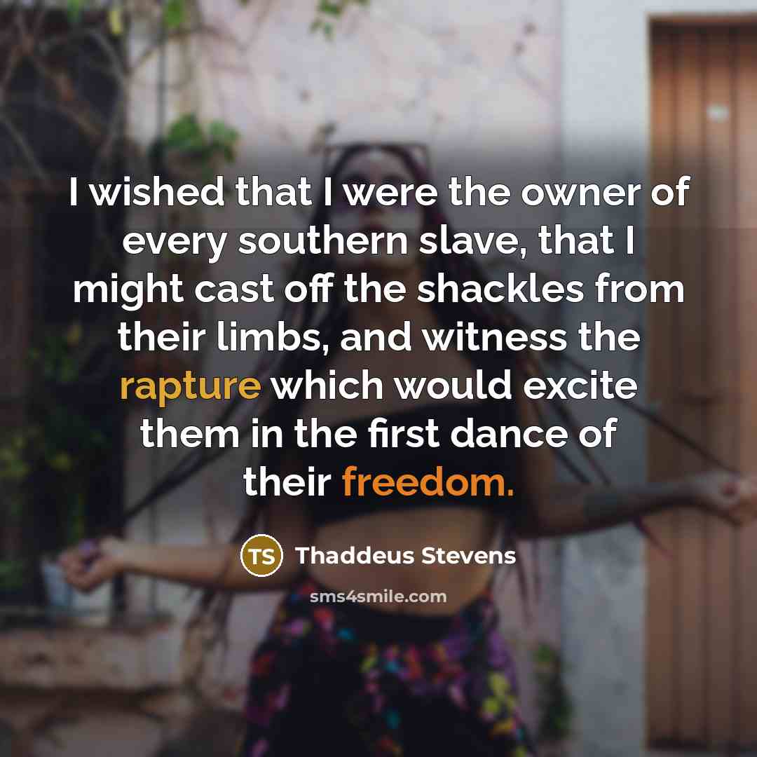 “I wished that I were the owner of every southern slave, that I might cast off the shackles from their limbs, and witness the rapture which would excite them in the first dance of their freedom.” quote by Thaddeus Stevens