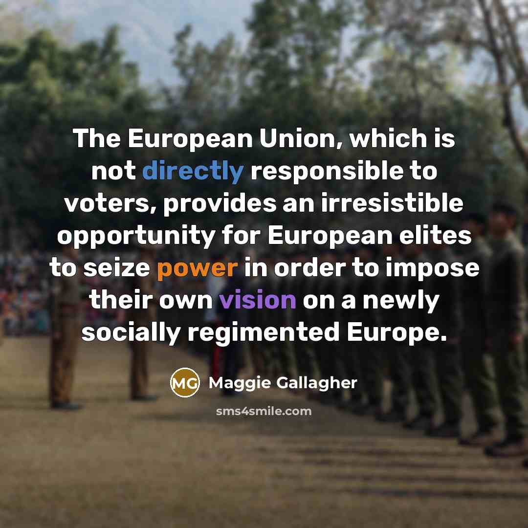“The European Union, which is not directly responsible to voters, provides an irresistible opportunity for European elites to seize power in order to impose their own vision on a newly socially regimented Europe.” quote by Maggie Gallagher