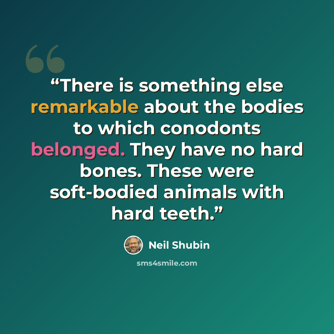 “There is something else remarkable about the bodies to which conodonts belonged. They have no hard bones. These were soft-bodied animals with hard teeth.” quote by Neil Shubin