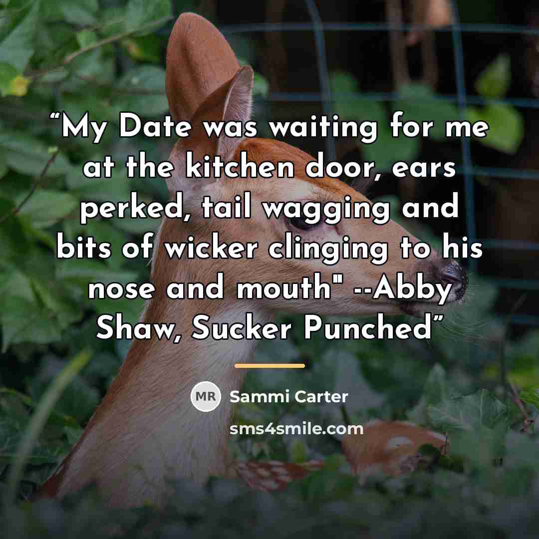 “My Date was waiting for me at the kitchen door, ears perked, tail wagging and bits of wicker clinging to his nose and mouth" --Abby Shaw, Sucker Punched” quote by Sammi Carter