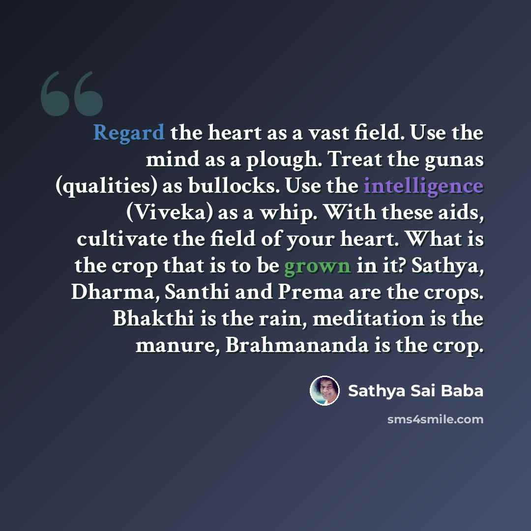 “Regard the heart as a vast field. Use the mind as a plough. Treat the gunas (qualities) as bullocks. Use the intelligence (Viveka) as a whip. With these aids, cultivate the field of your heart. What is the crop that is to be grown in it? Sathya, Dharma, Santhi and Prema are the crops. Bhakthi is…” quote by Sathya Sai Baba