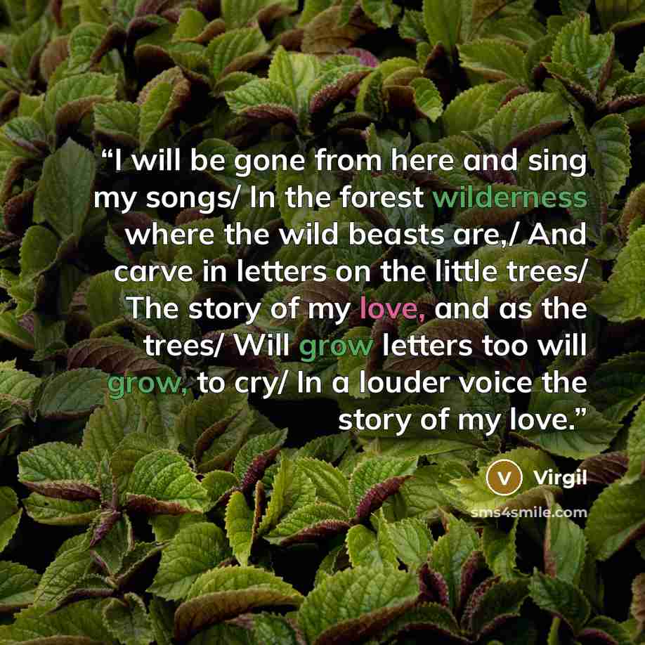 “I will be gone from here and sing my songs/ In the forest wilderness where the wild beasts are,/ And carve in letters on the little trees/ The story of my love, and as the trees/ Will grow letters too will grow, to cry/ In a louder voice the story of my love.” quote by Virgil