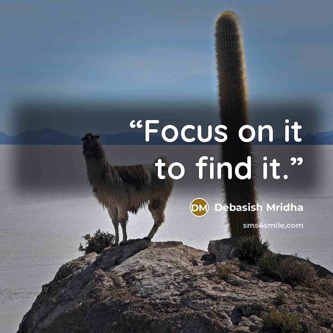 “Focus on it to find it.” quote by Debasish Mridha