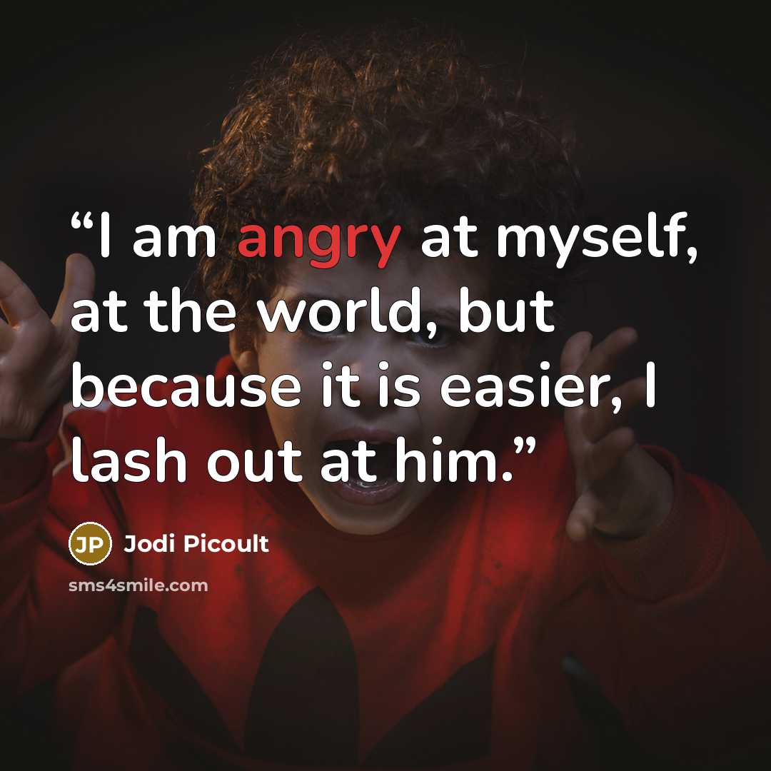 “I am angry at myself, at the world, but because it is easier, I lash out at him.” quote by Jodi Picoult