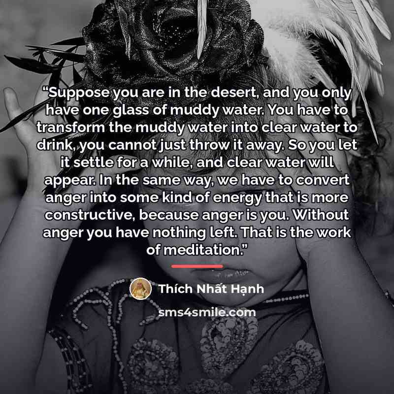 “Suppose you are in the desert, and you only have one glass of muddy water. You have to transform the muddy water into clear water to drink, you cannot just throw it away. So you let it settle for a while, and clear water will appear. In the same way, we have to convert anger into some kind of…” quote by Thich Nhat Hanh