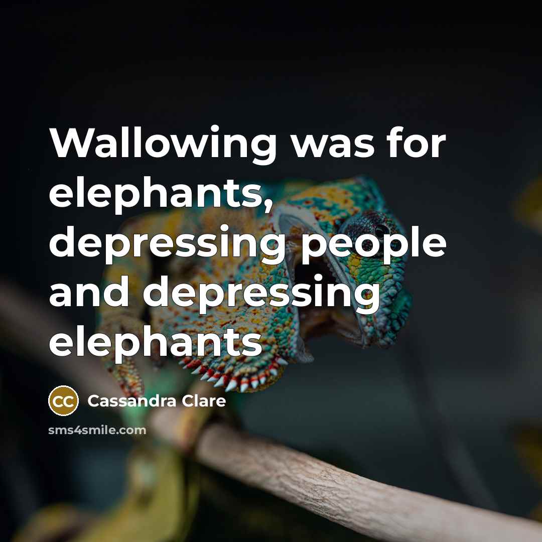 “Wallowing was for elephants, depressing people and depressing elephants” quote by Cassandra Clare