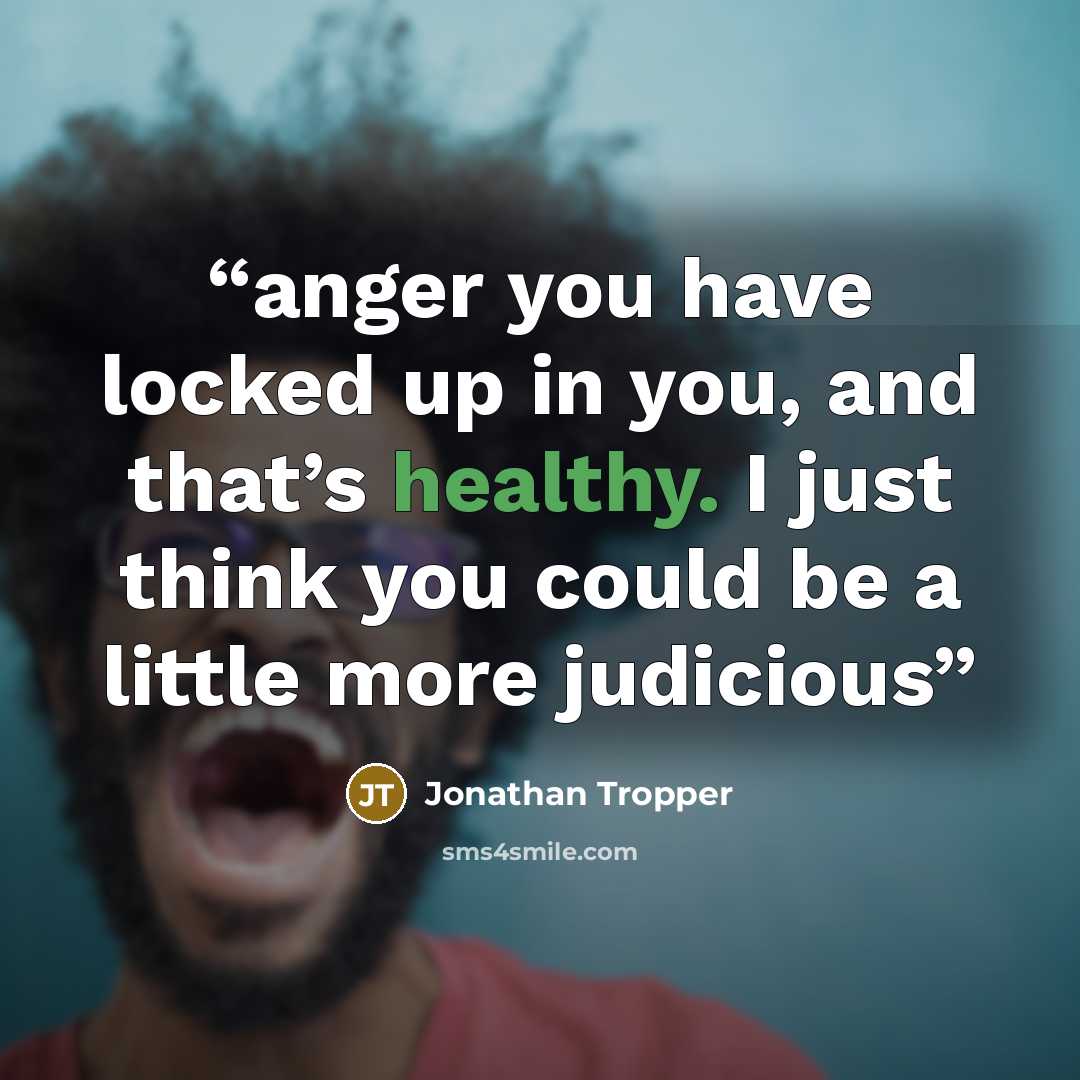 “anger you have locked up in you, and that’s healthy. I just think you could be a little more judicious” quote by Jonathan Tropper