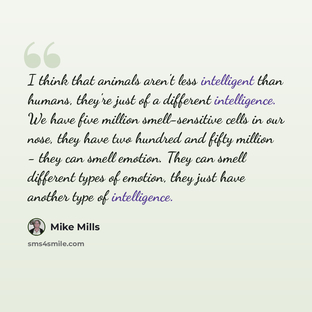 “I think that animals aren't less intelligent than humans, they're just of a different intelligence. We have five million smell-sensitive cells in our nose, they have two hundred and fifty million - they can smell emotion. They can smell different types of emotion, they just have another type of…” quote by Mike Mills