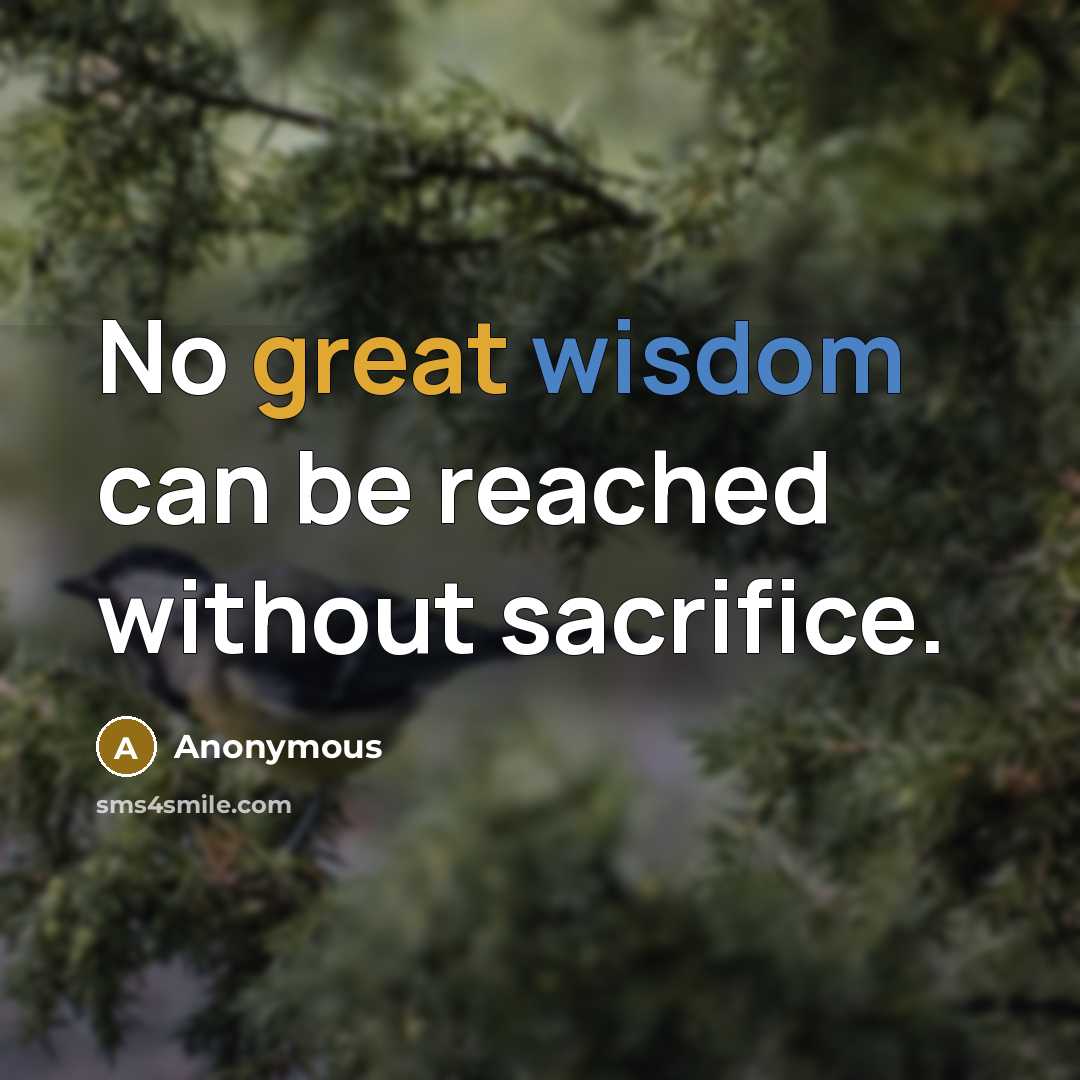 “No great wisdom can be reached without sacrifice.” quote by Anonymous
