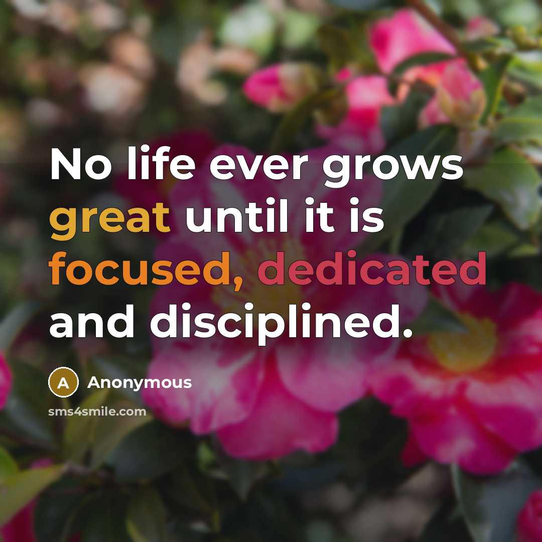 “No life ever grows great until it is focused, dedicated and disciplined.” quote by Anonymous