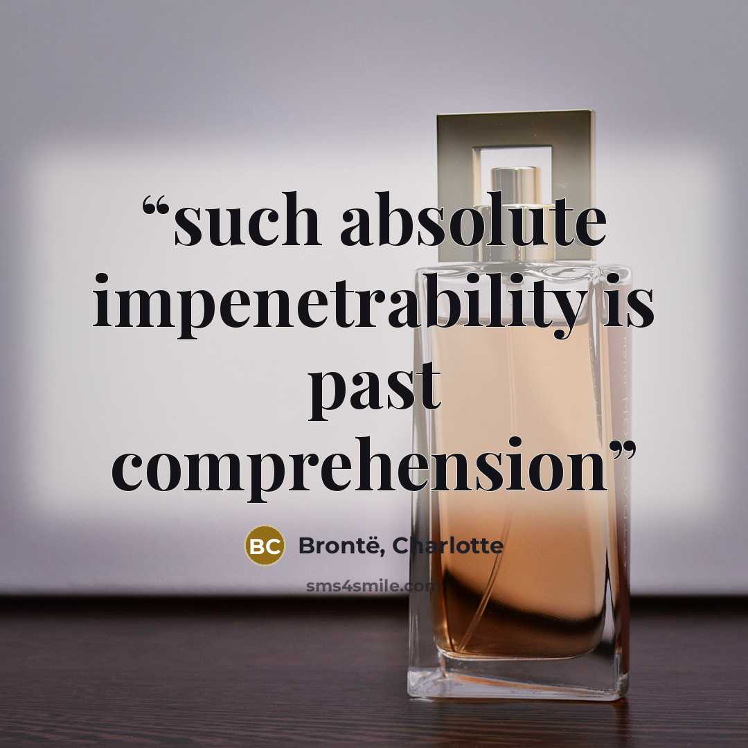“such absolute impenetrability is past comprehension” quote by Brontë, Charlotte