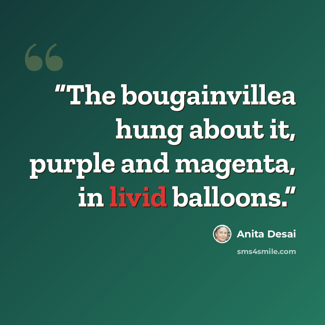 “The bougainvillea hung about it, purple and magenta, in livid balloons.” quote by Anita Desai