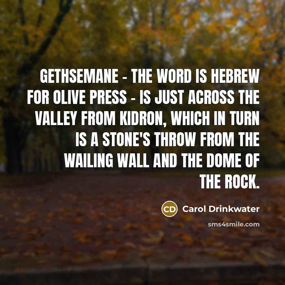 “Gethsemane - the word is Hebrew for olive press - is just across the valley from Kidron, which in turn is a stone's throw from the Wailing Wall and the Dome of the Rock.” quote by Carol Drinkwater