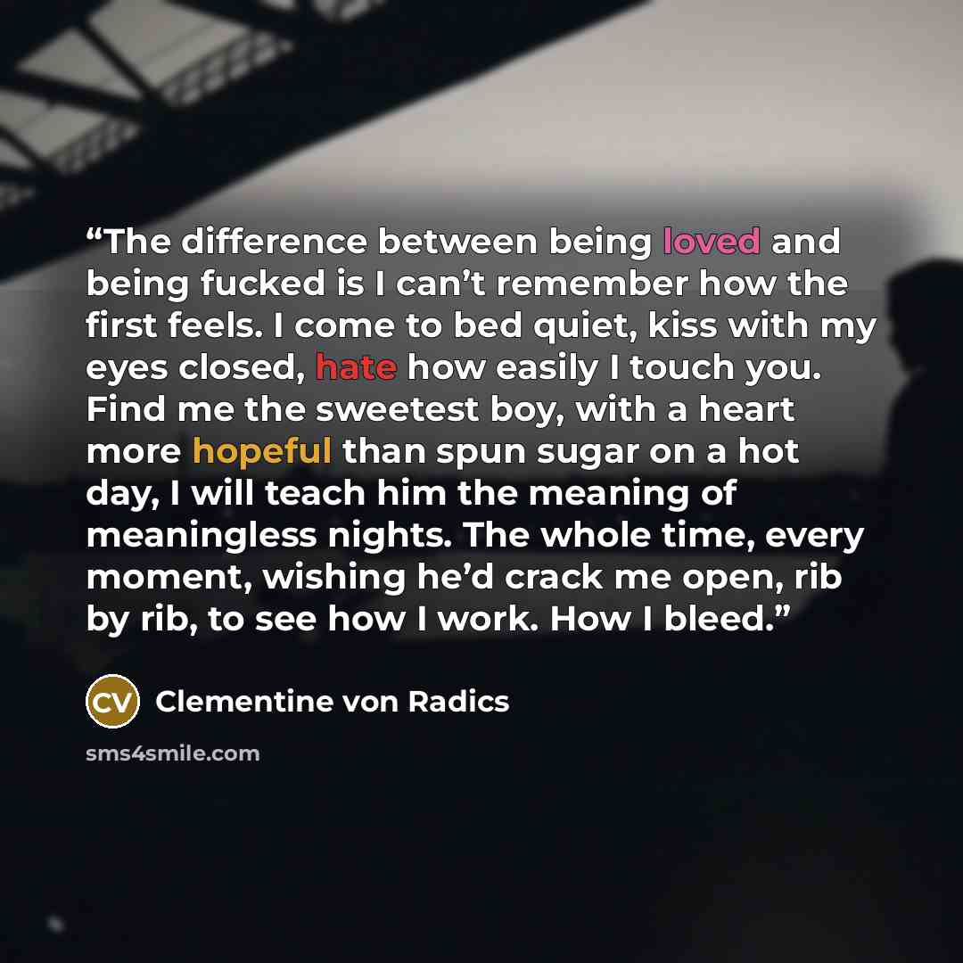“The difference between being loved and being fucked is I can’t remember how the first feels. I come to bed quiet, kiss with my eyes closed, hate how easily I touch you. Find me the sweetest boy, with a heart more hopeful than spun sugar on a hot day, I will teach him the meaning of meaningless…” quote by Clementine von Radics